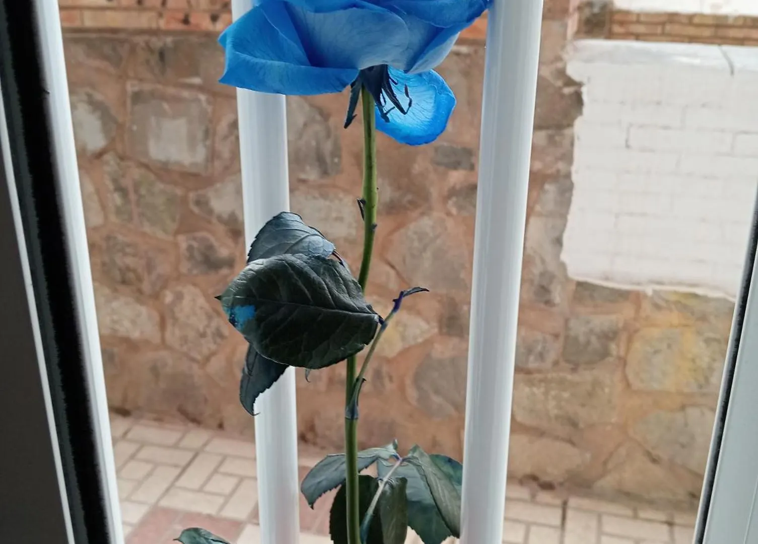 Lägenhet Apartamento Pequenito Málaga